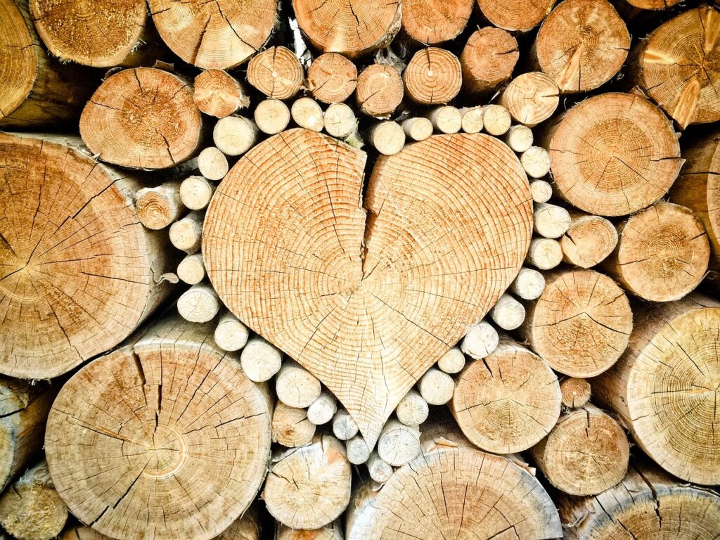 Heart, by Ada Gong