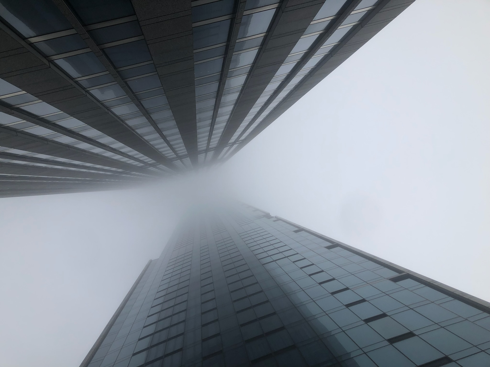 Head in the Clouds, by Aidan Palmer