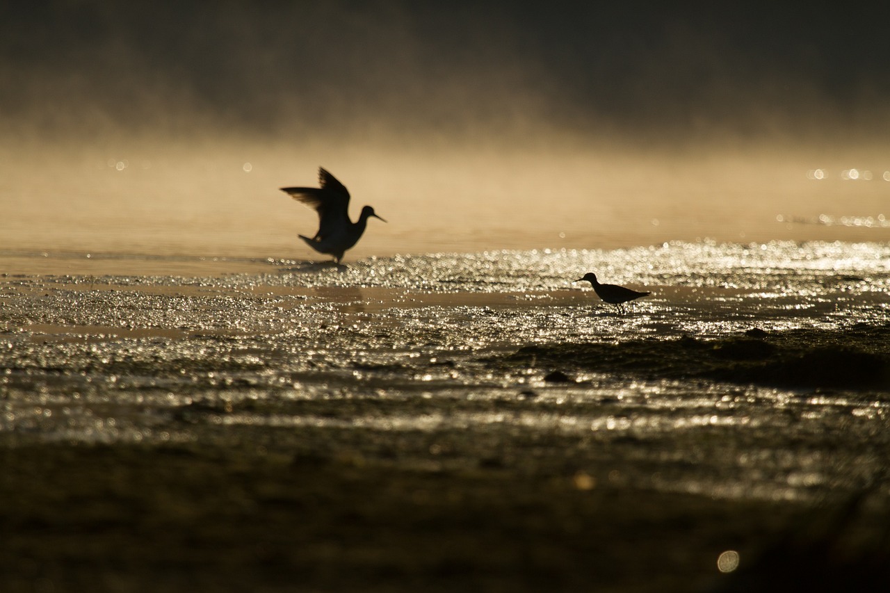 Shimmer Through the Seams, by Iwan Lee