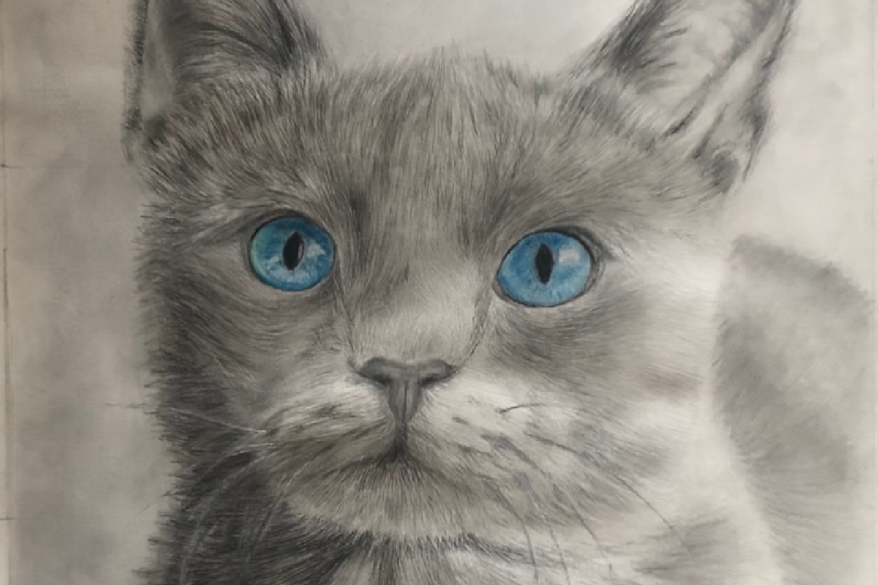 A Kindred Spirit, by Zathan Ha