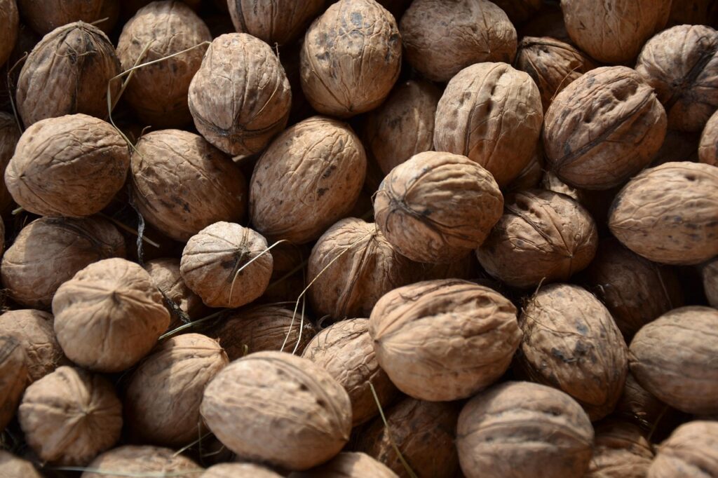 Where, by Addyson Aiken