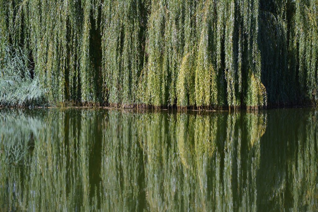 the river and me, today, by Kieran Lundy