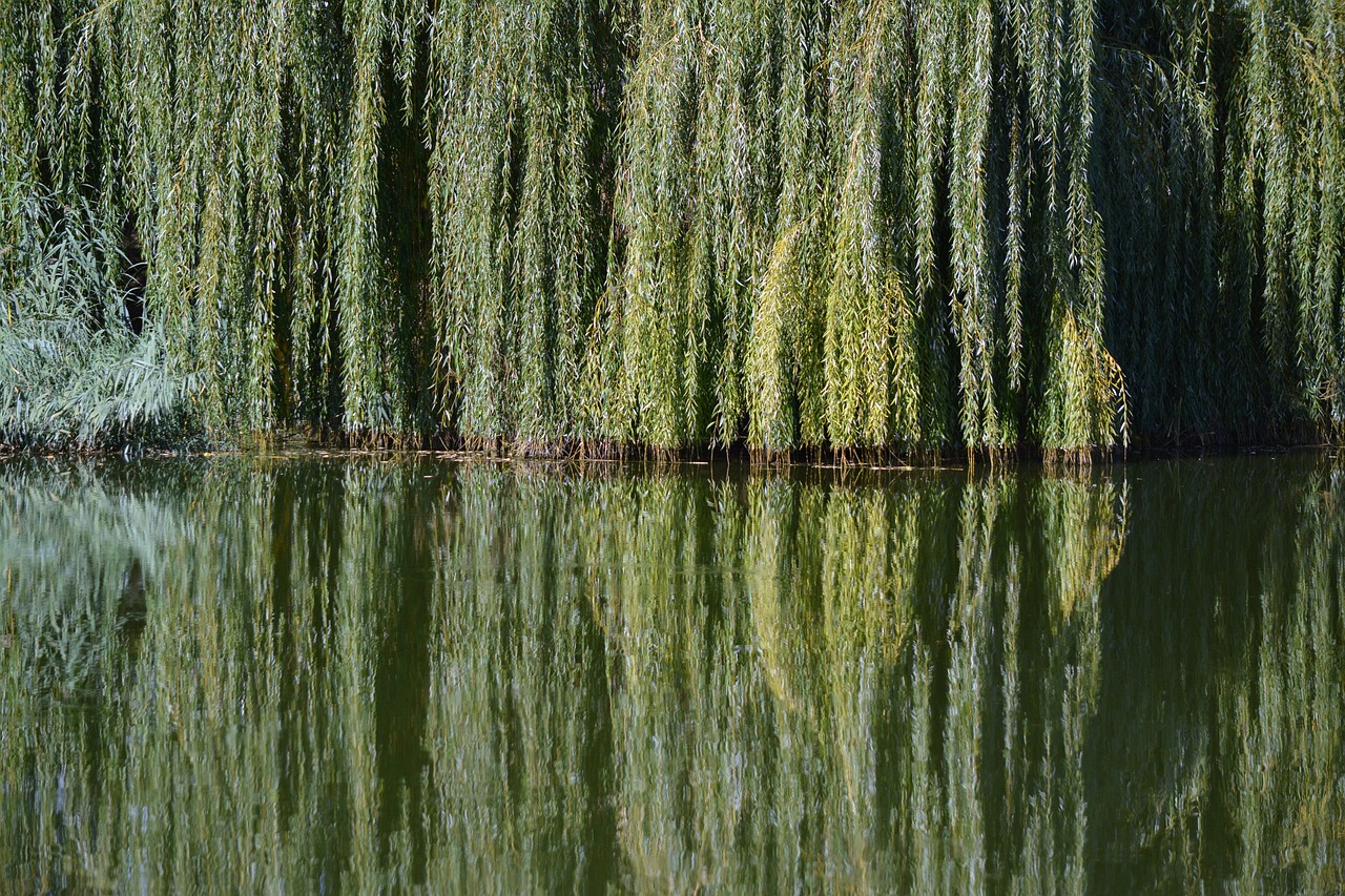 the river and me, today, by Kieran Lundy